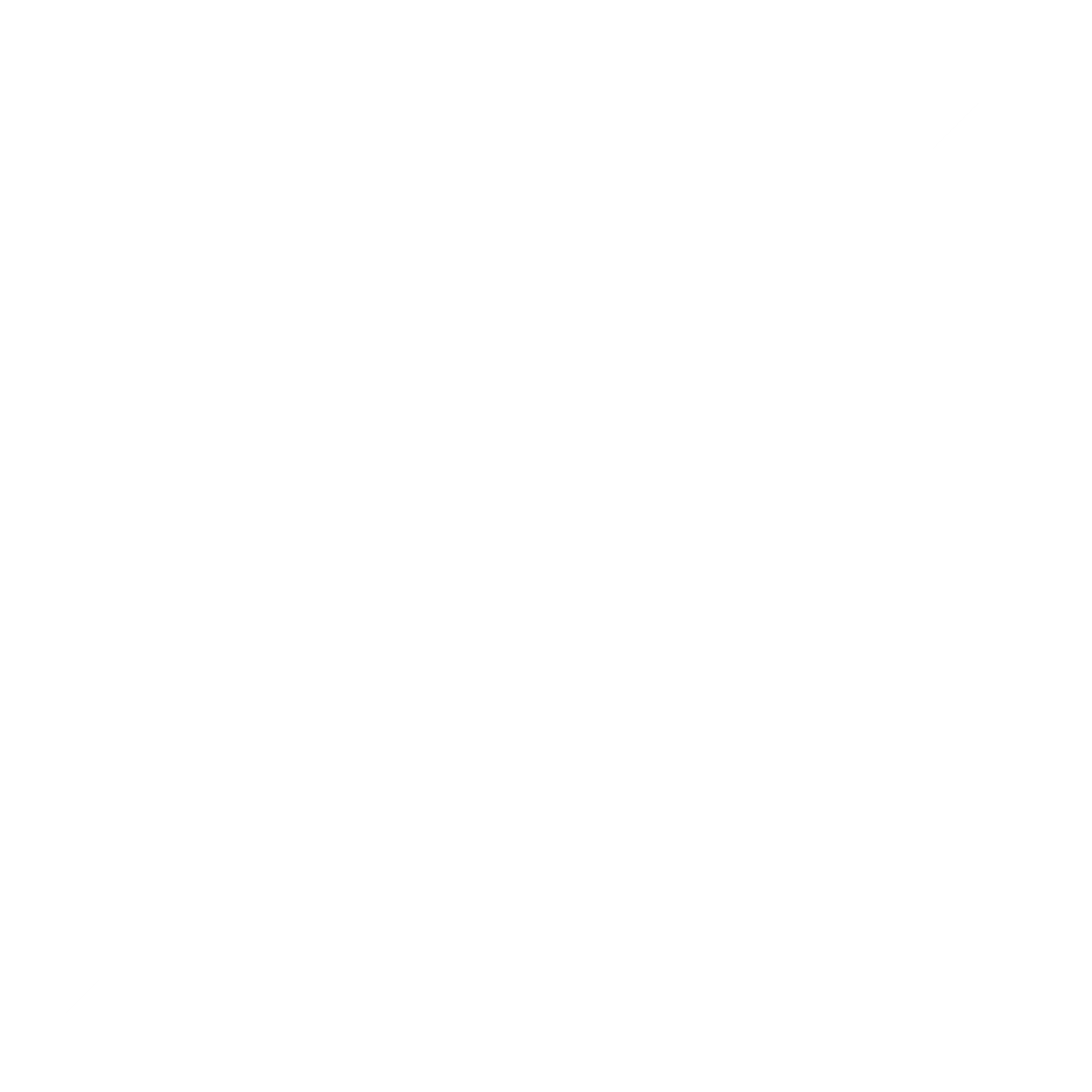 emmtrix Parallel Studio icon